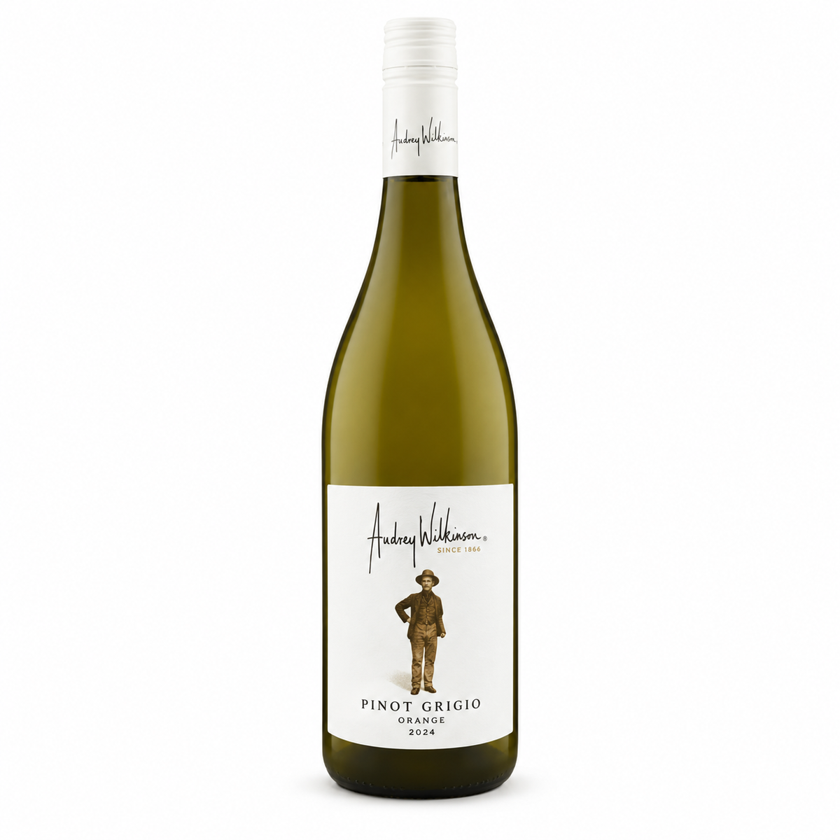 Audrey Wilkinson Pinot Grigio 2026 750ml
