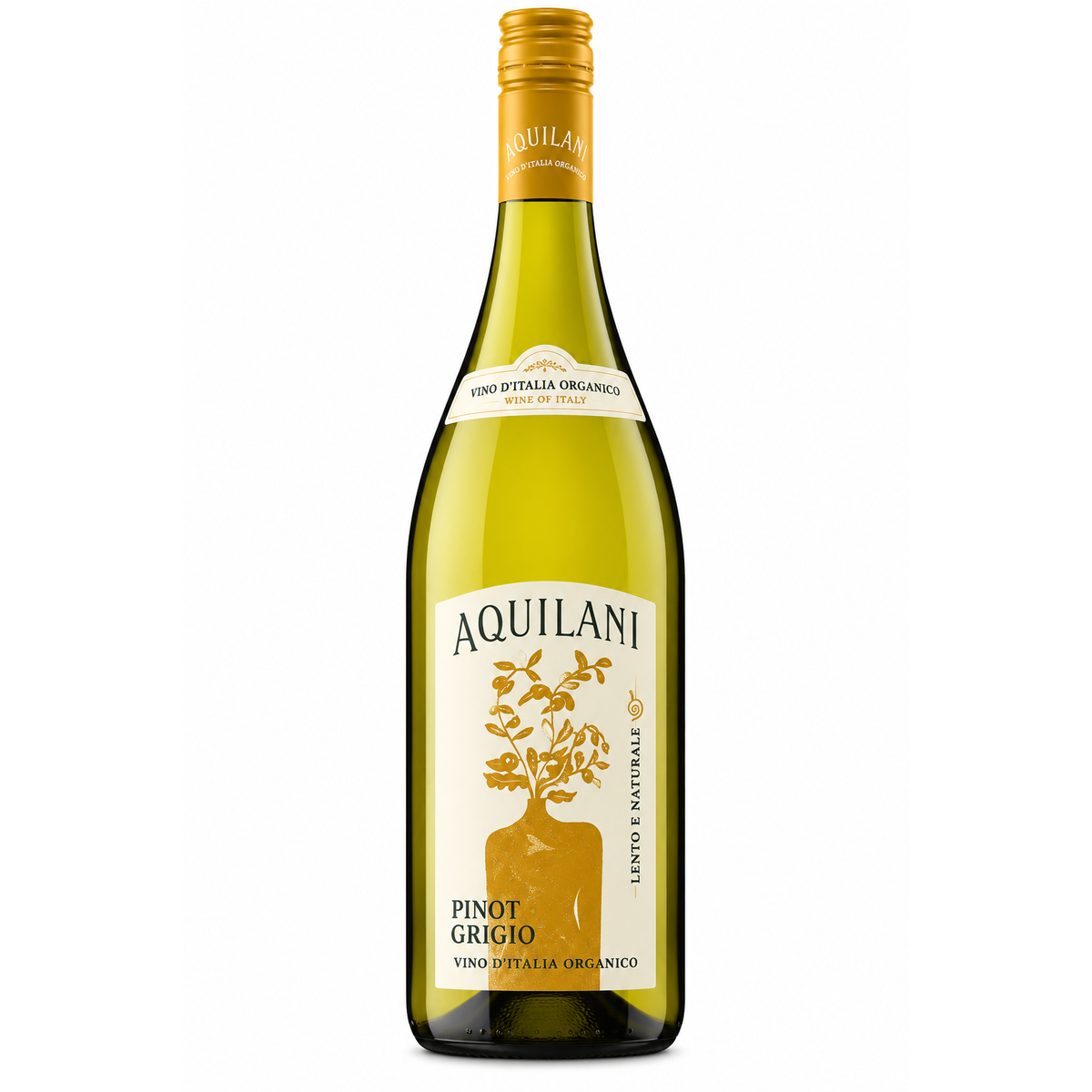 A bottle of Aquilani Pinot Grigio white wine, featuring a pale yellow-green glass bottle with a gold foil neck and a cream-colored label with gold illustrations, set against a plain white background.