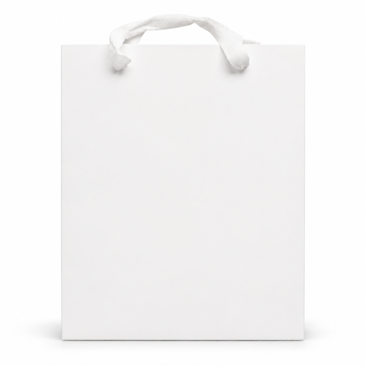 Large Gift Bag