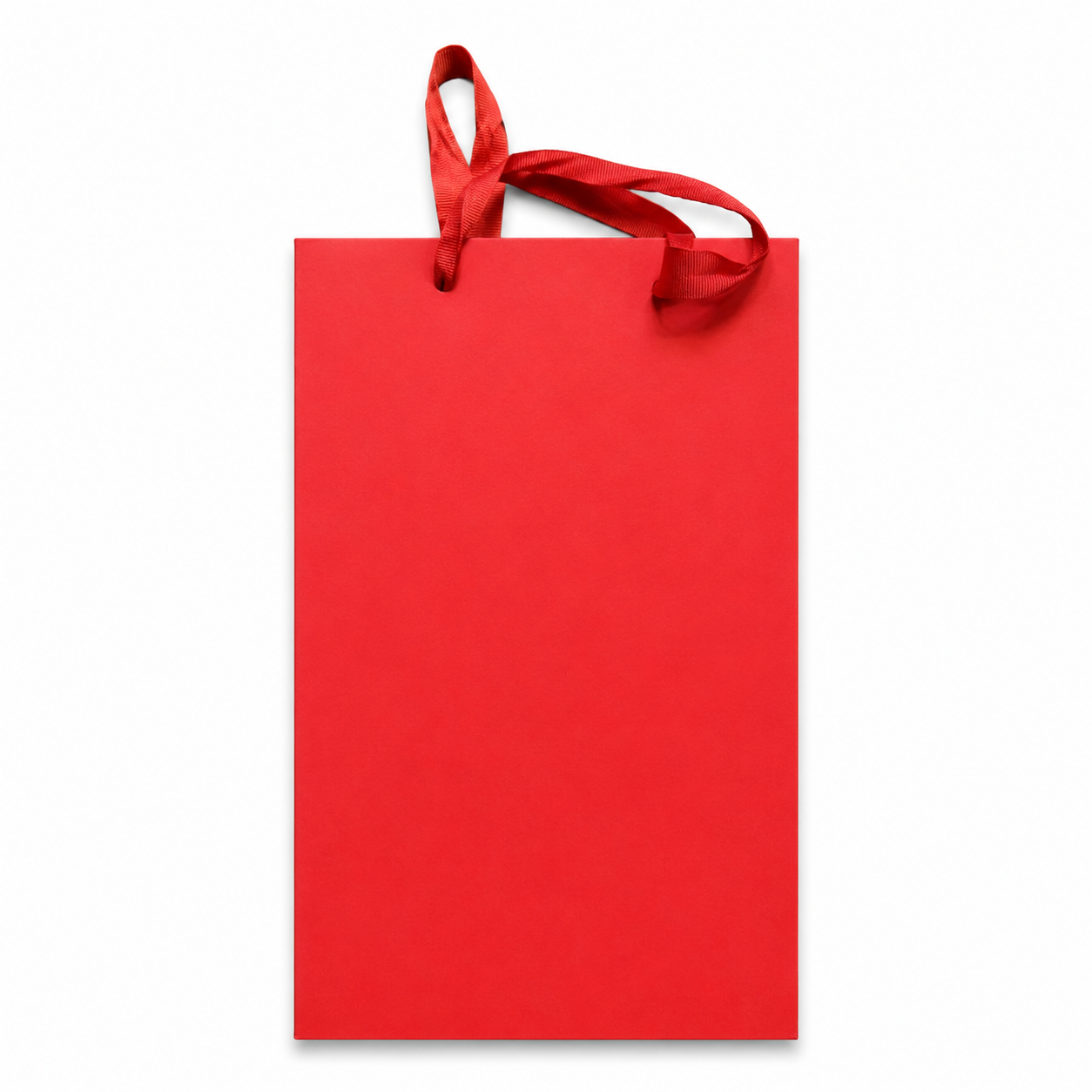 Double Bottle Gift Bag