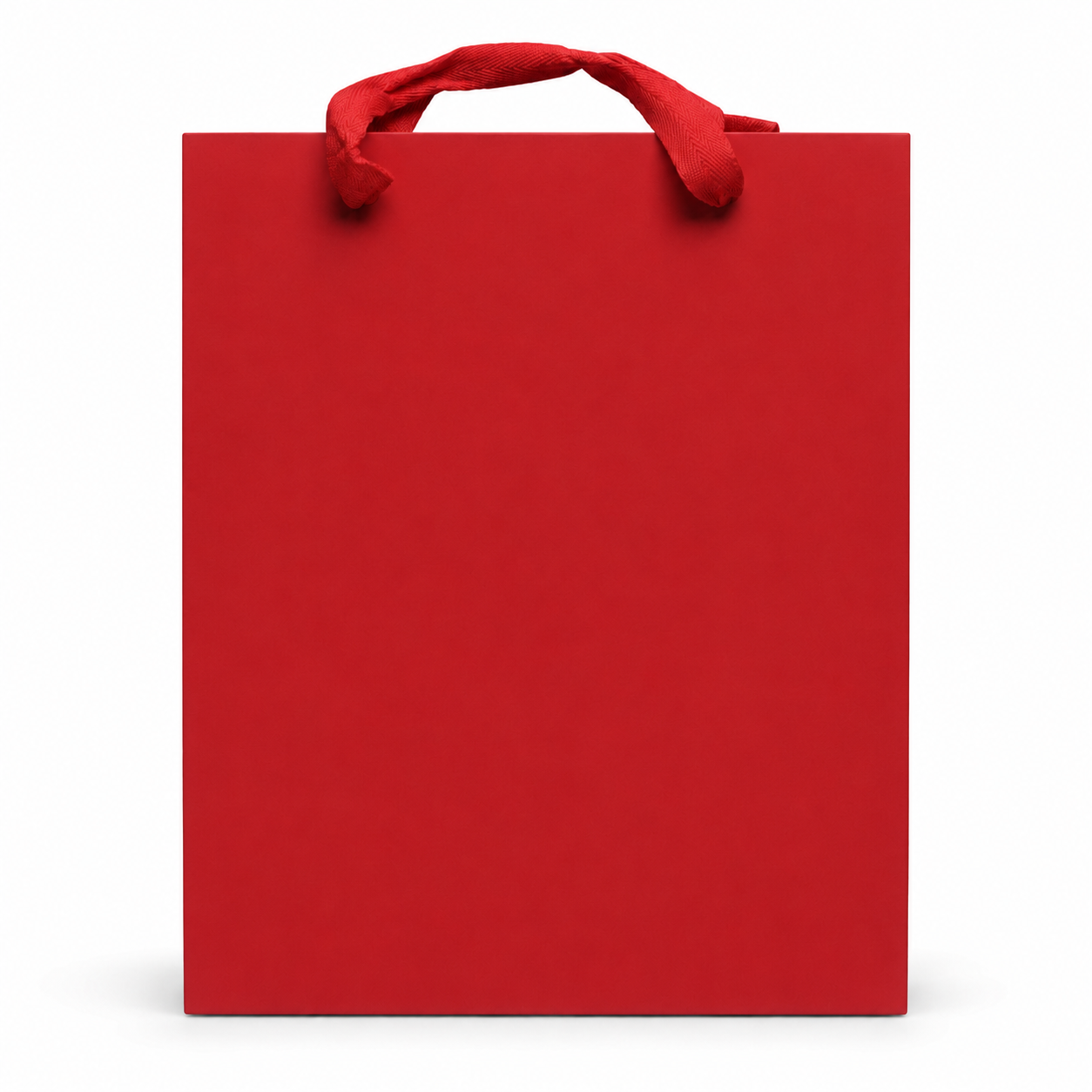 Large Gift Bag