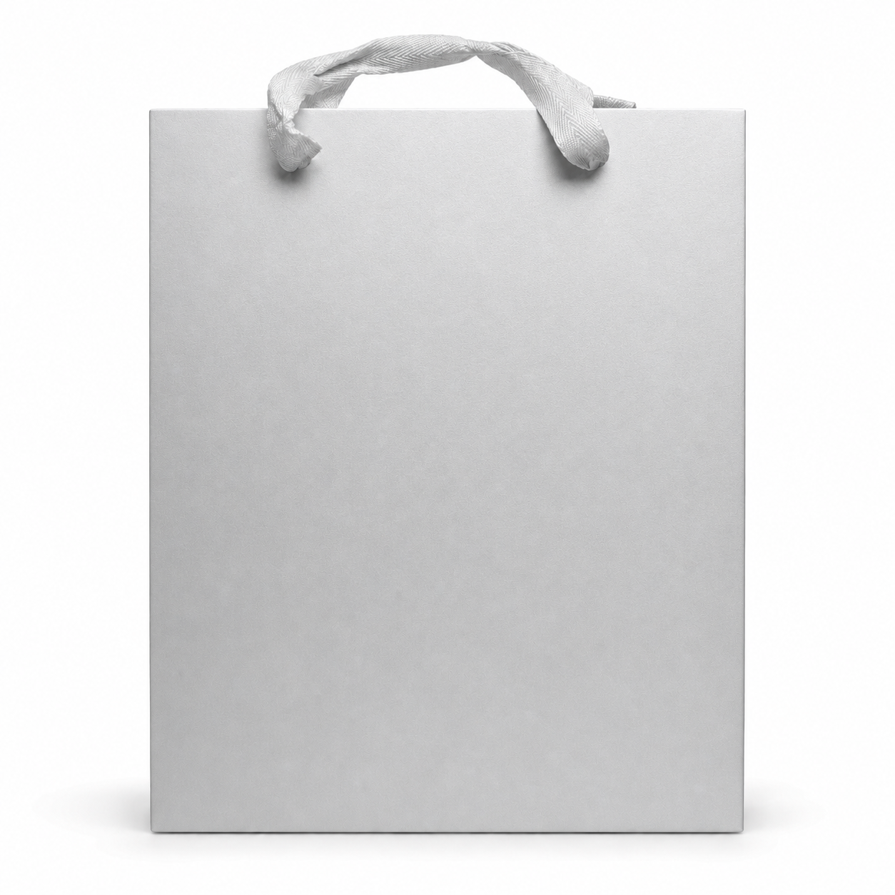 Large Gift Bag