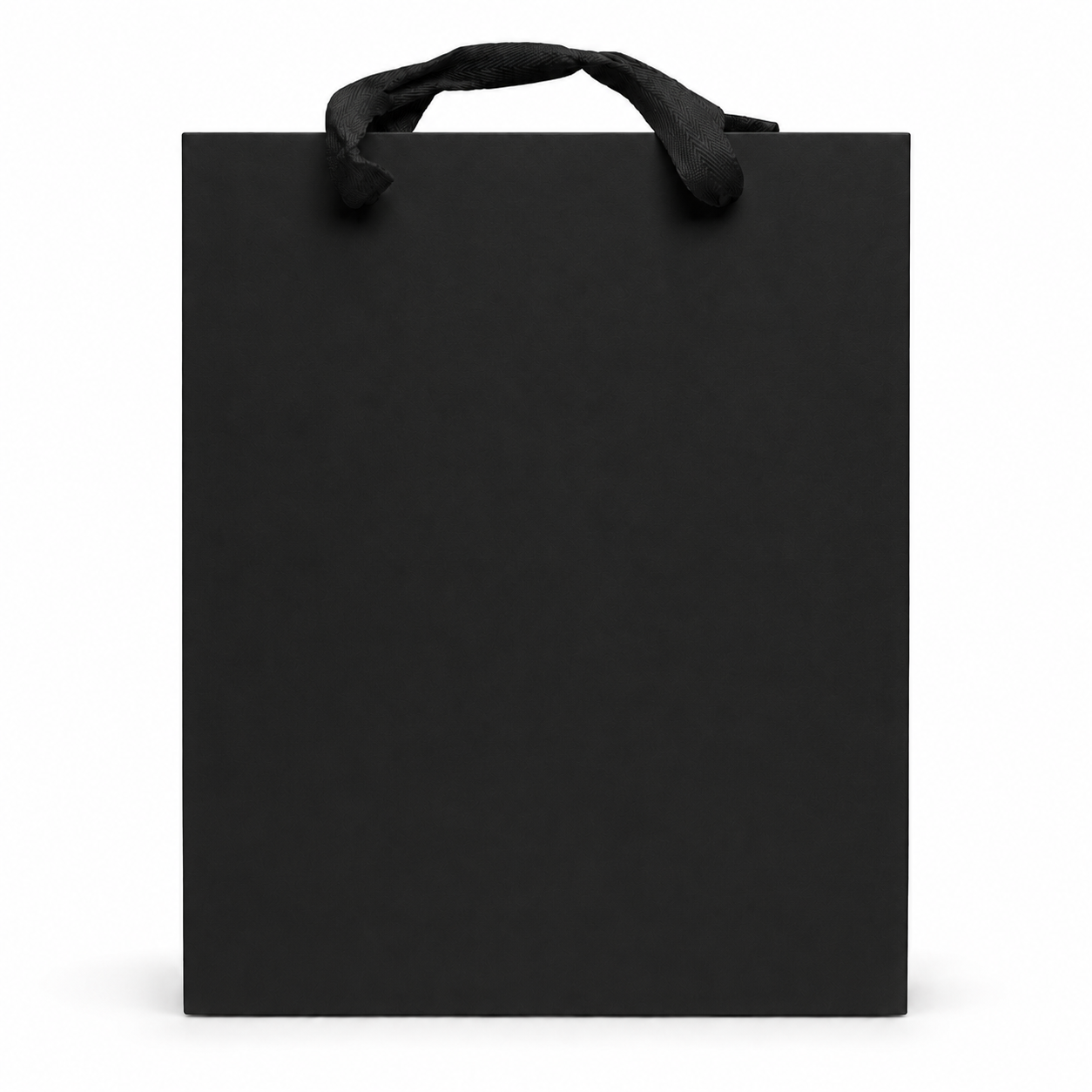 Large Gift Bag
